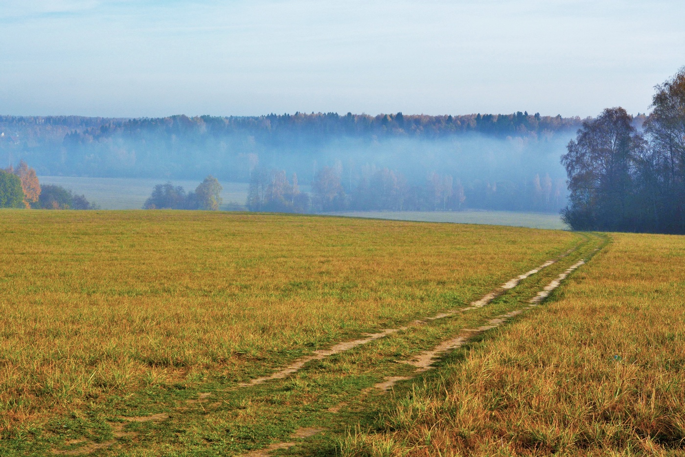 "Все больше осени вокруг ..."