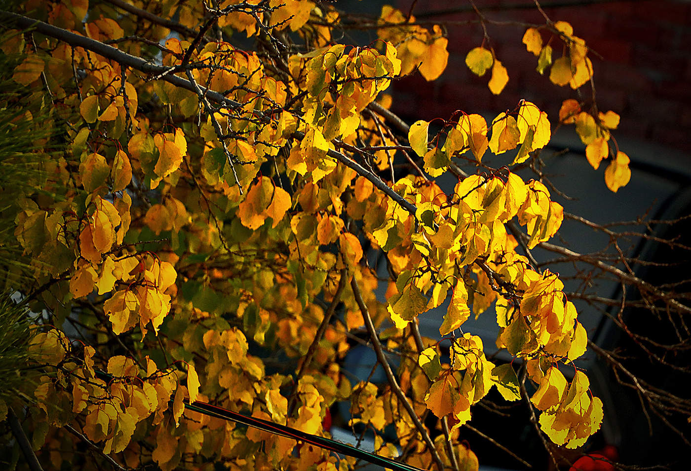 В лучах утреннего солнца