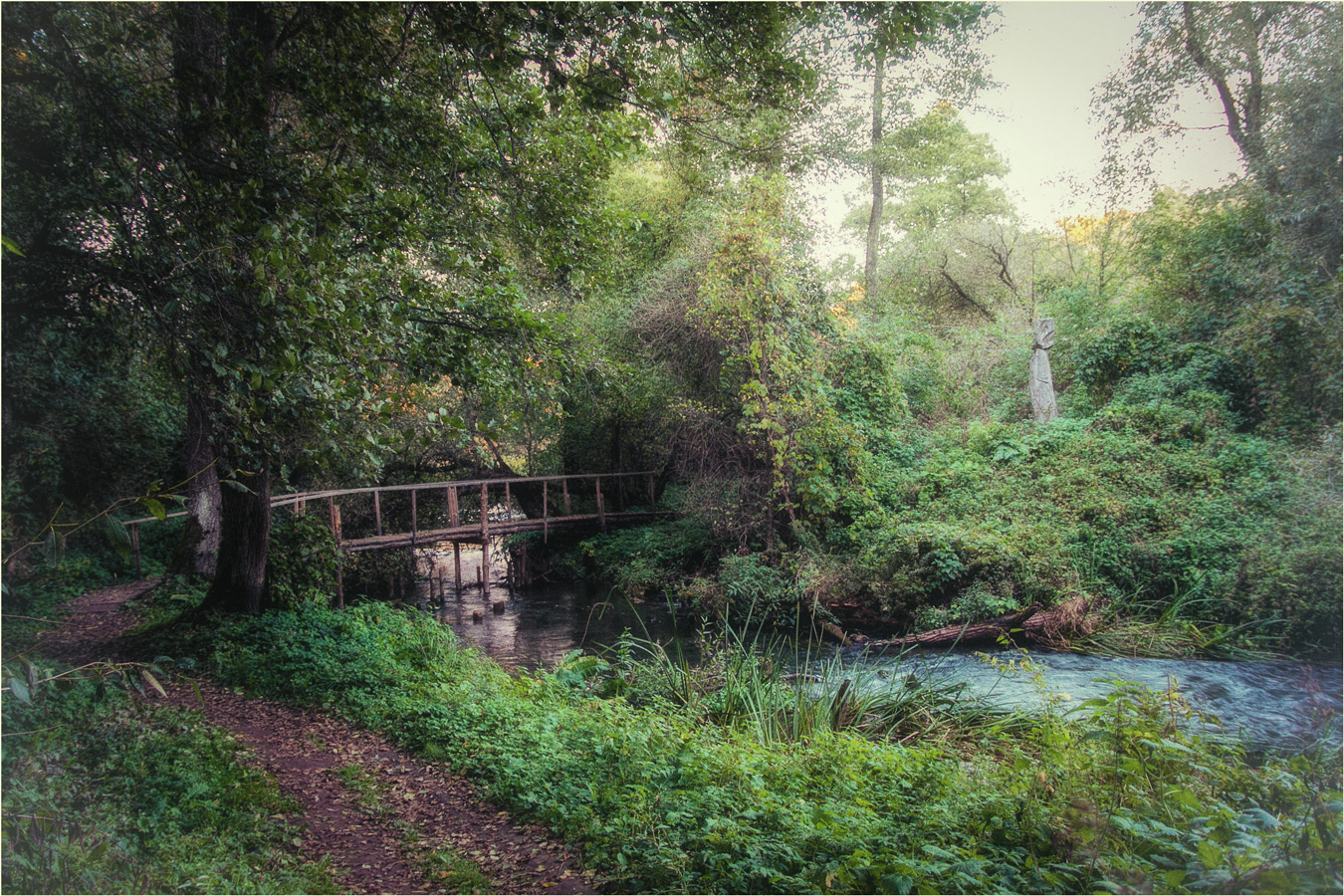 В графском парке