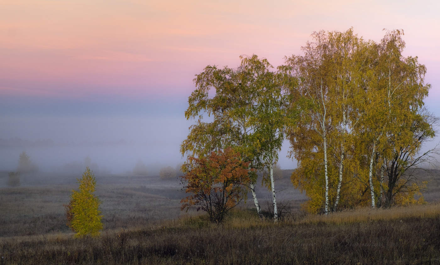 Краски осени на фоне тумана.