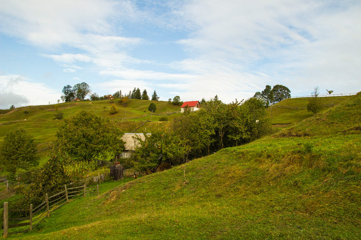 домик с красной крышей