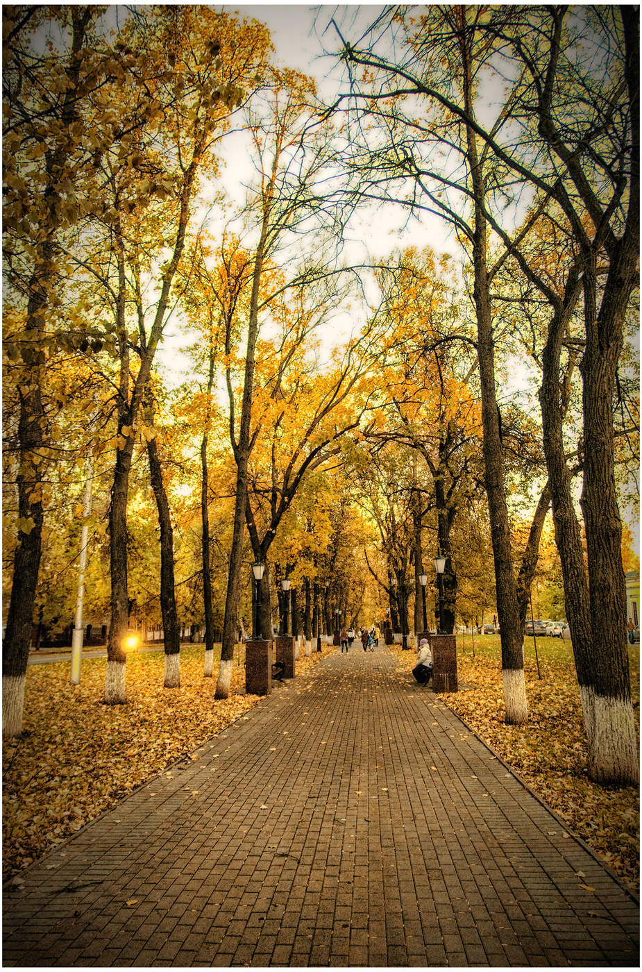 Софьюшкина аллея.