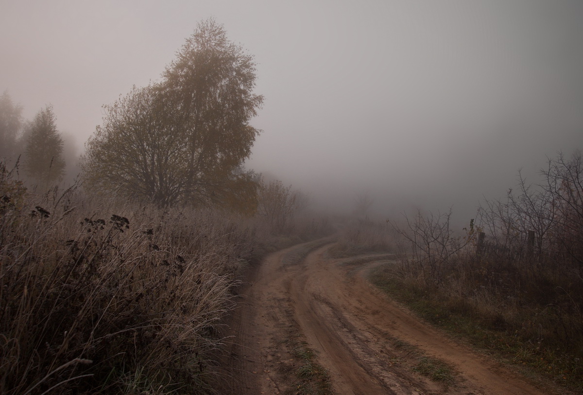 Там, за туманом...