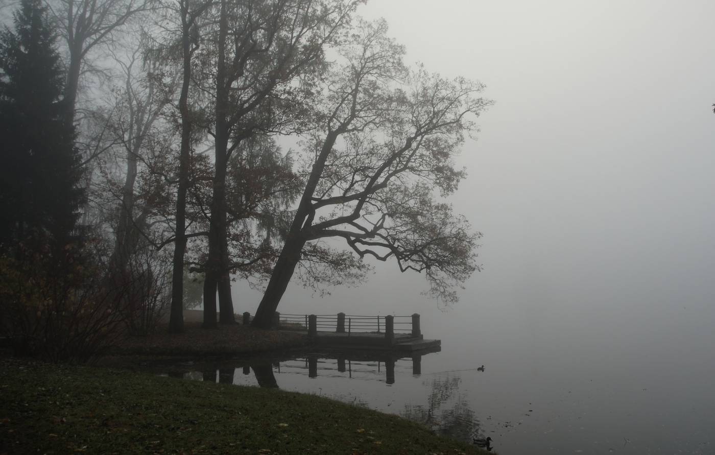 Утро в октябре...