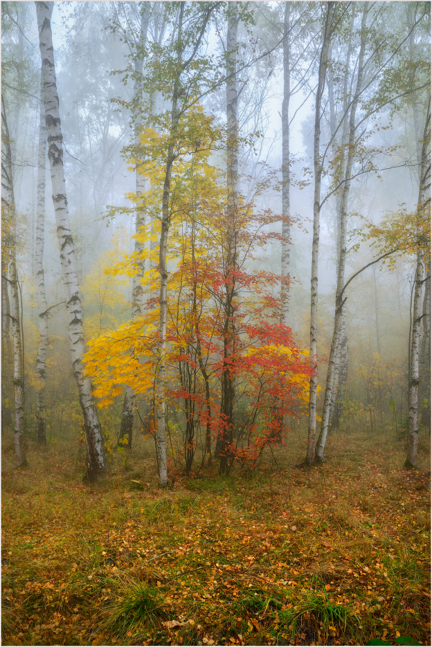 осенняя открытка