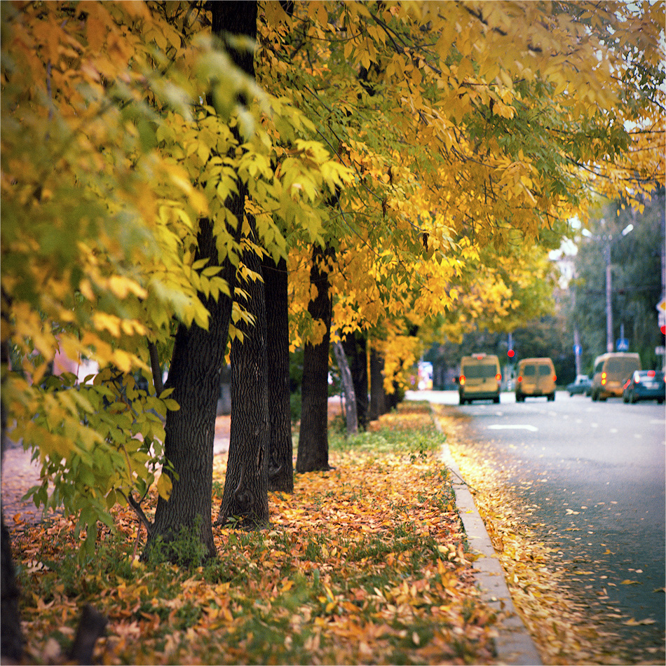 Позолоченный сезон