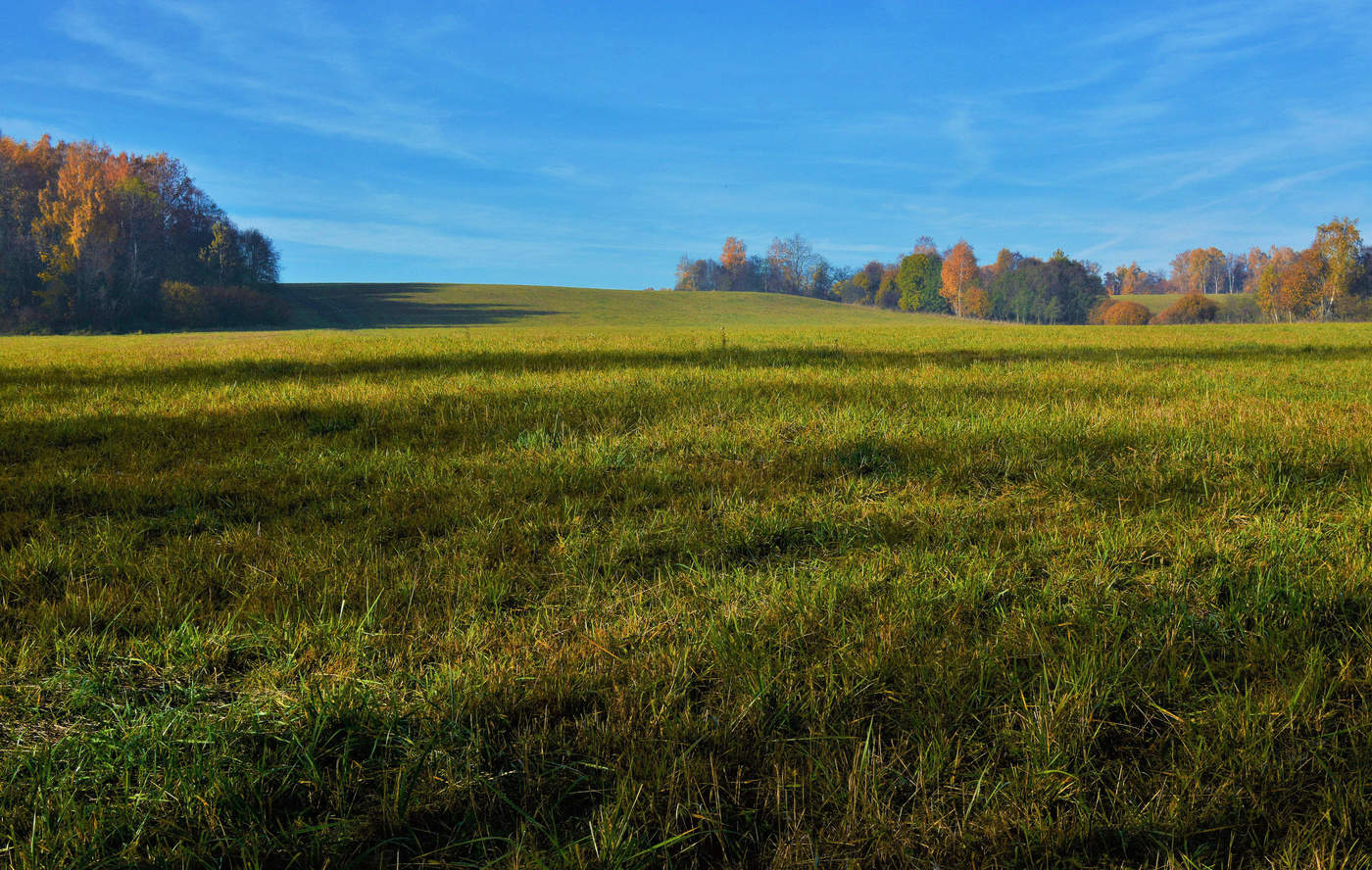 "Желтеют листья. Дни короче ..."