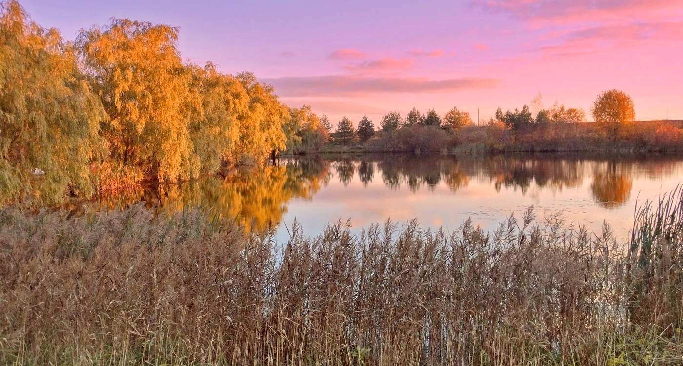 Позолоченный сезон