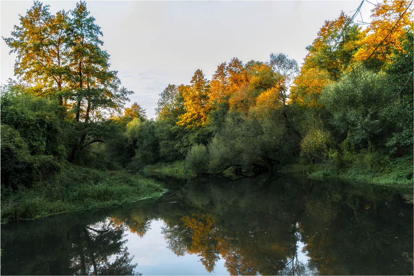 Позолоченный сезон
