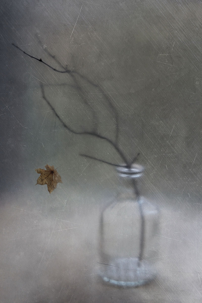 Последний лист осенний...