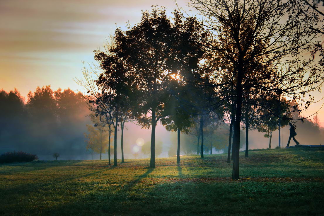 Туманные осенние расветы