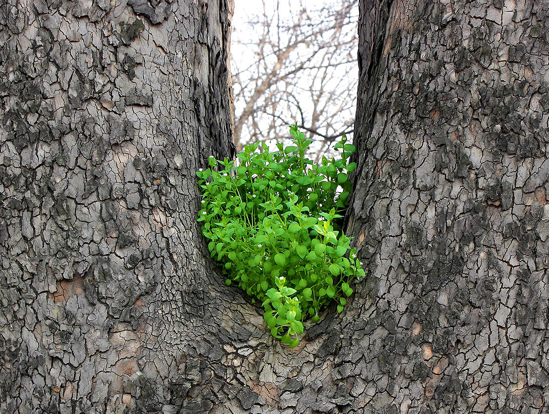 Всюду жизнь...