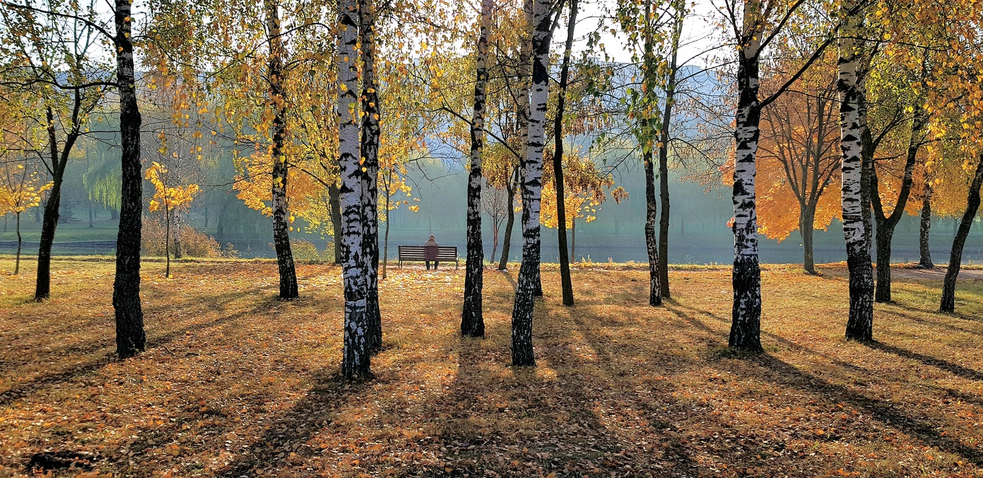 Позолоченный сезон