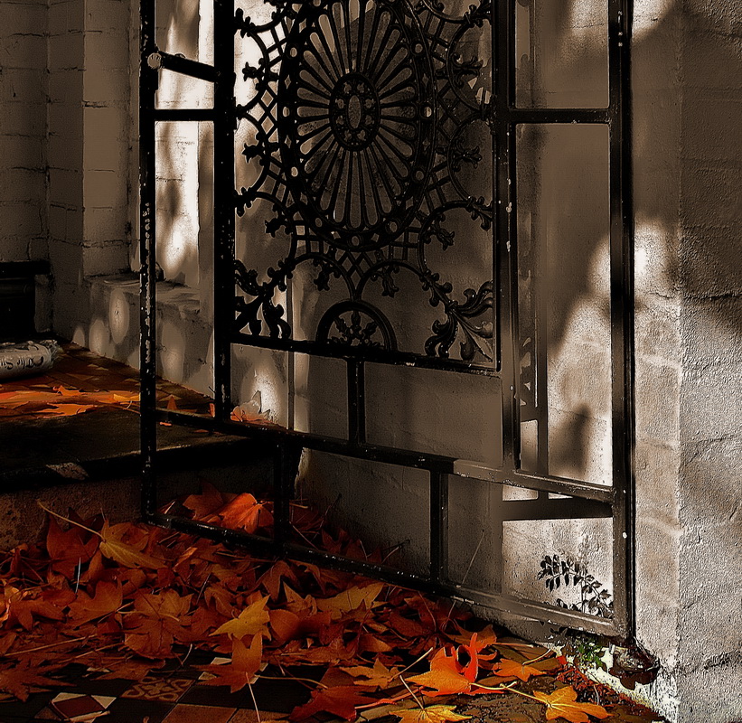 Позолоченный сезон