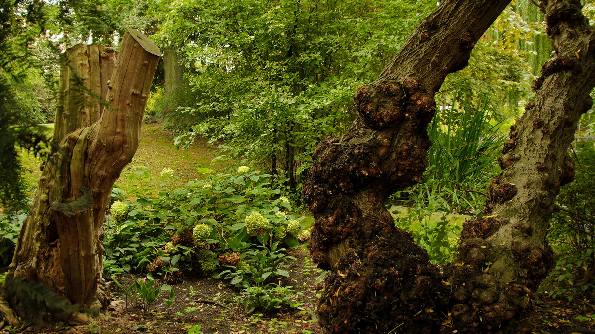 Живые и мертвые...