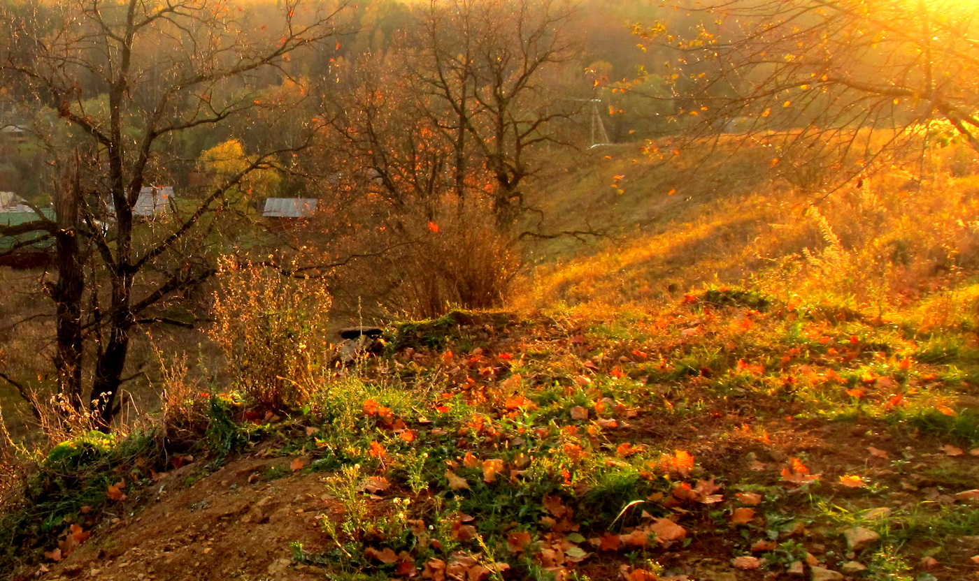 Позолоченный сезон