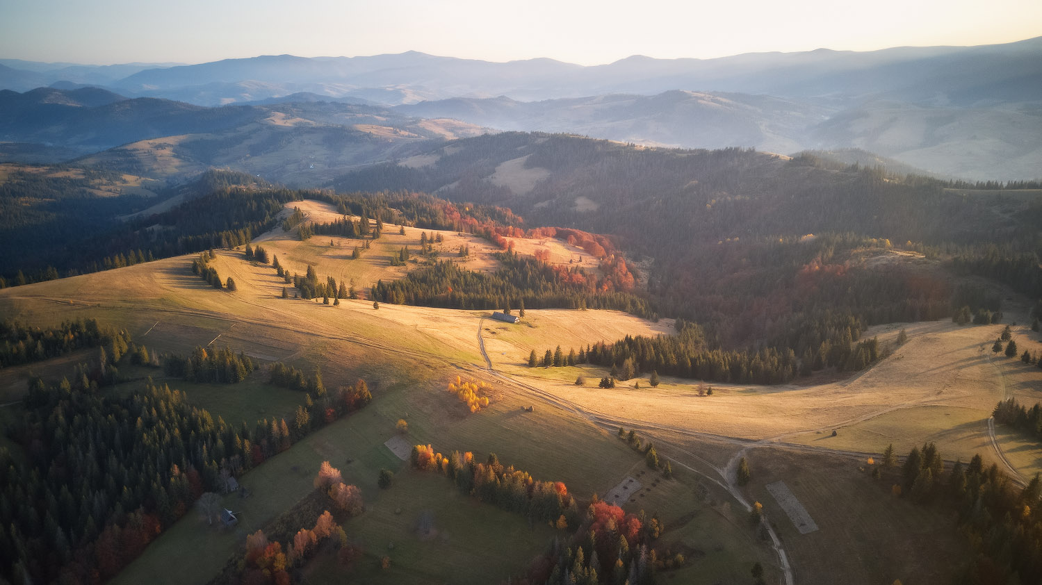 Позолоченный сезон