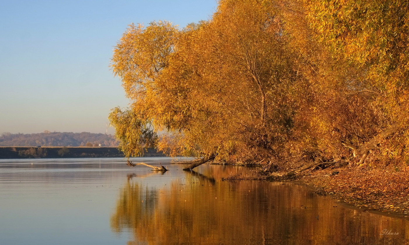 Позолоченный сезон