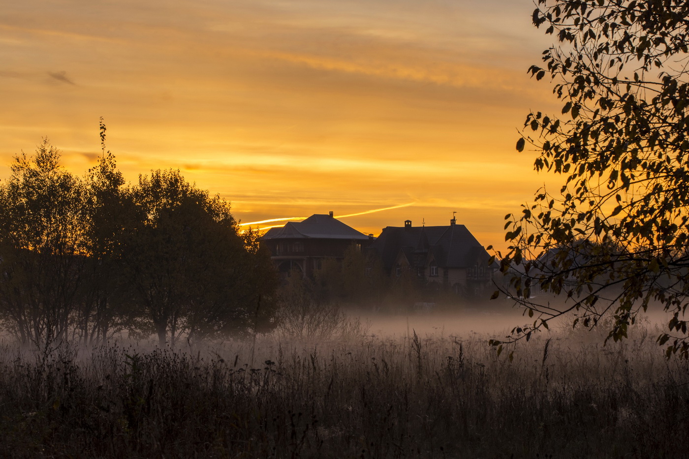 Позолоченный сезон