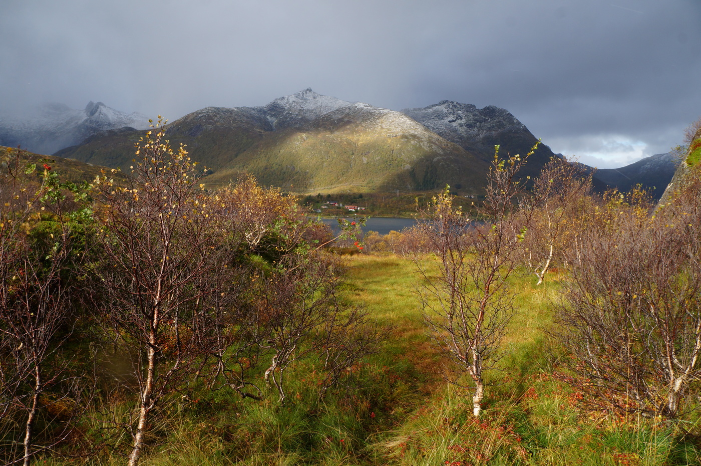 Солнечный коридор