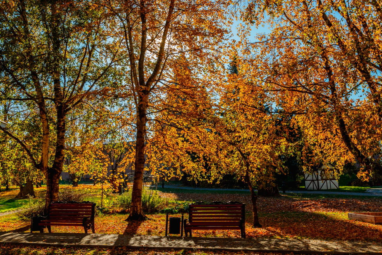 Фейерверк Золотой Осени!