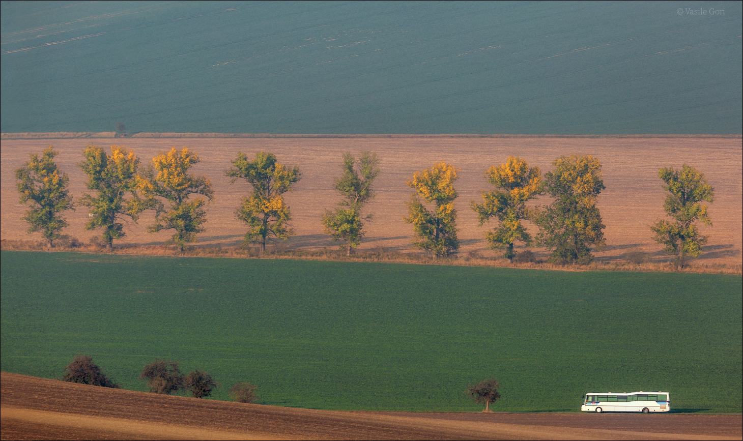 Рейс Кижов - Ховорани