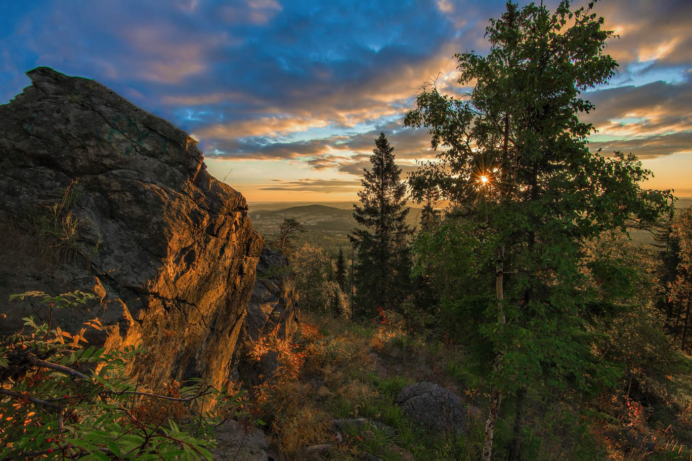 Утренний свет