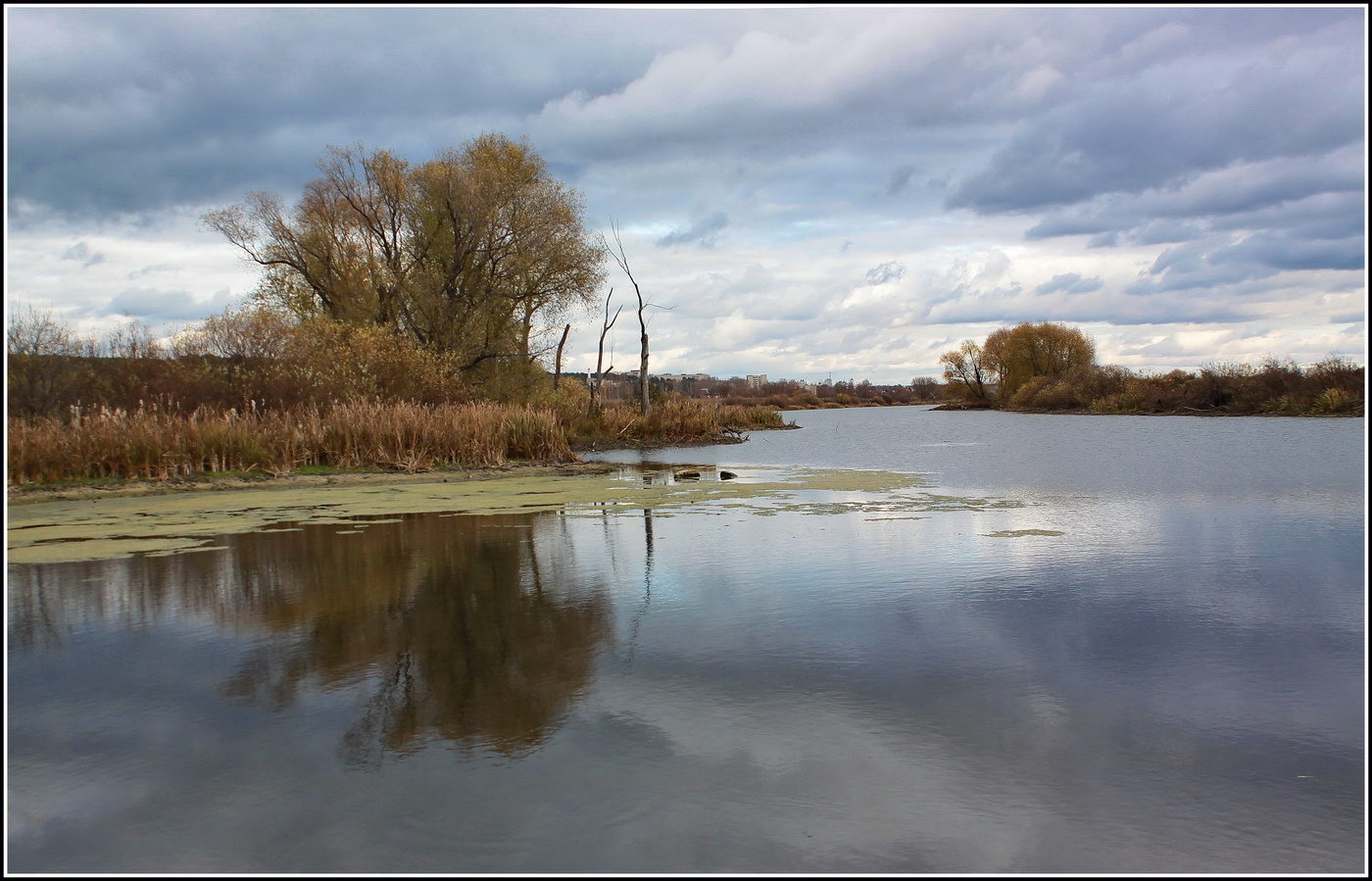 хмурый день