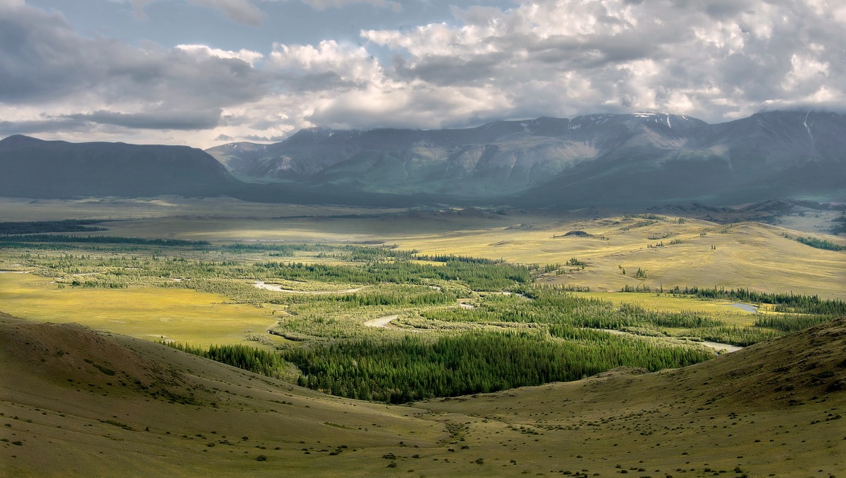 В полоске света.