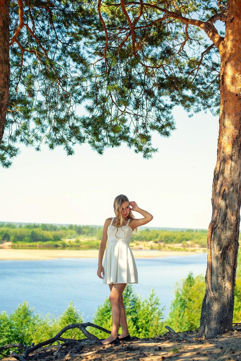 Полдень в соснах