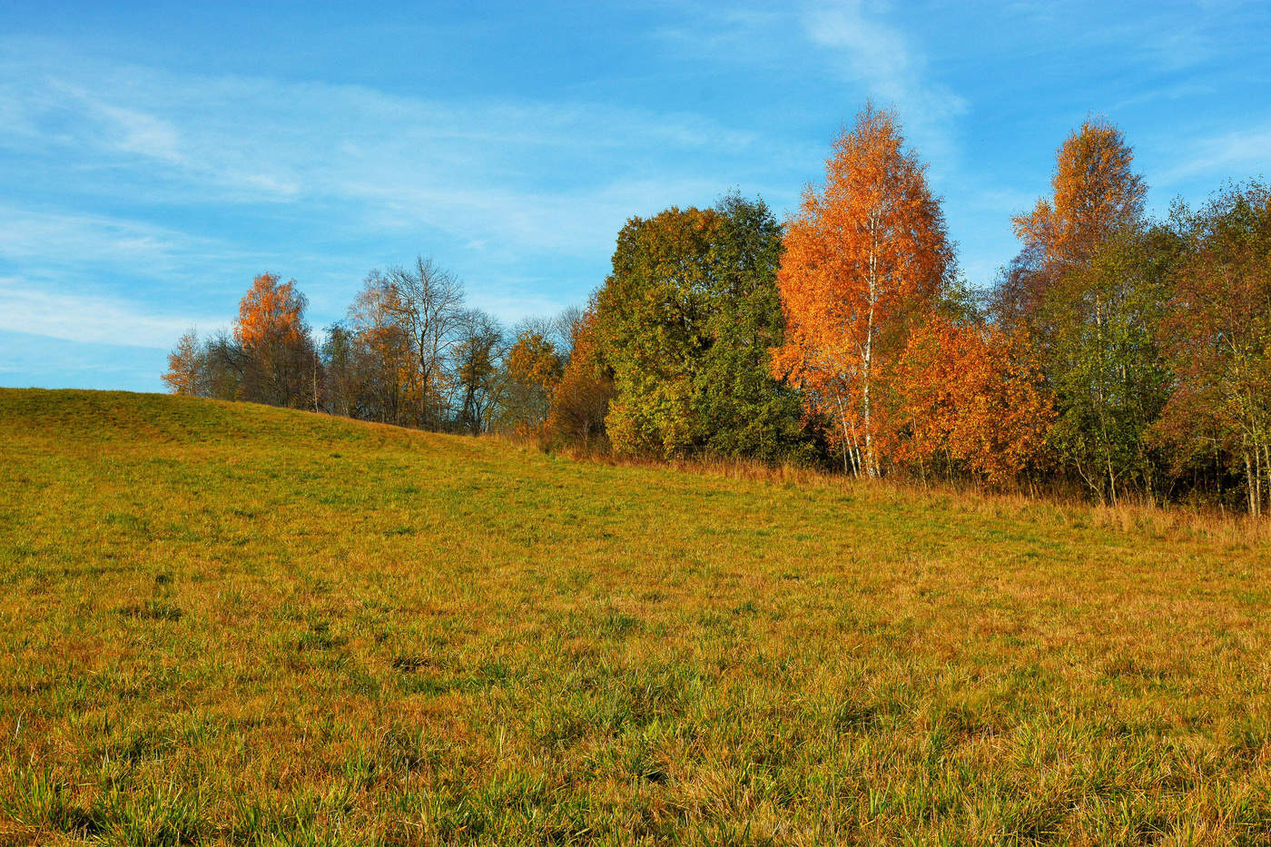 "У осени красивая улыбка ..."