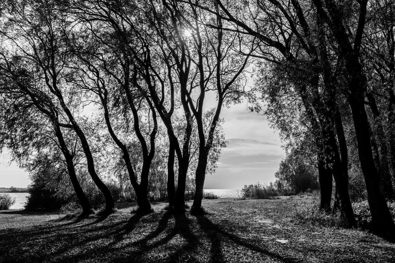 Поздняя осень.