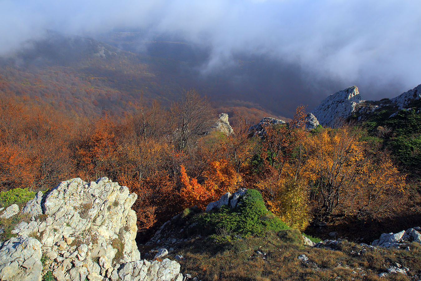Чатыр-Даг - осень