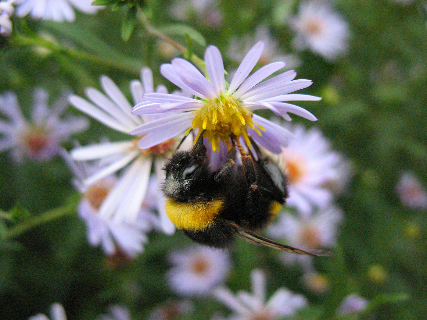 Тяжёлое положение!