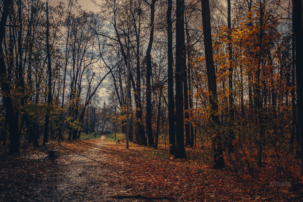 осенняя красочность