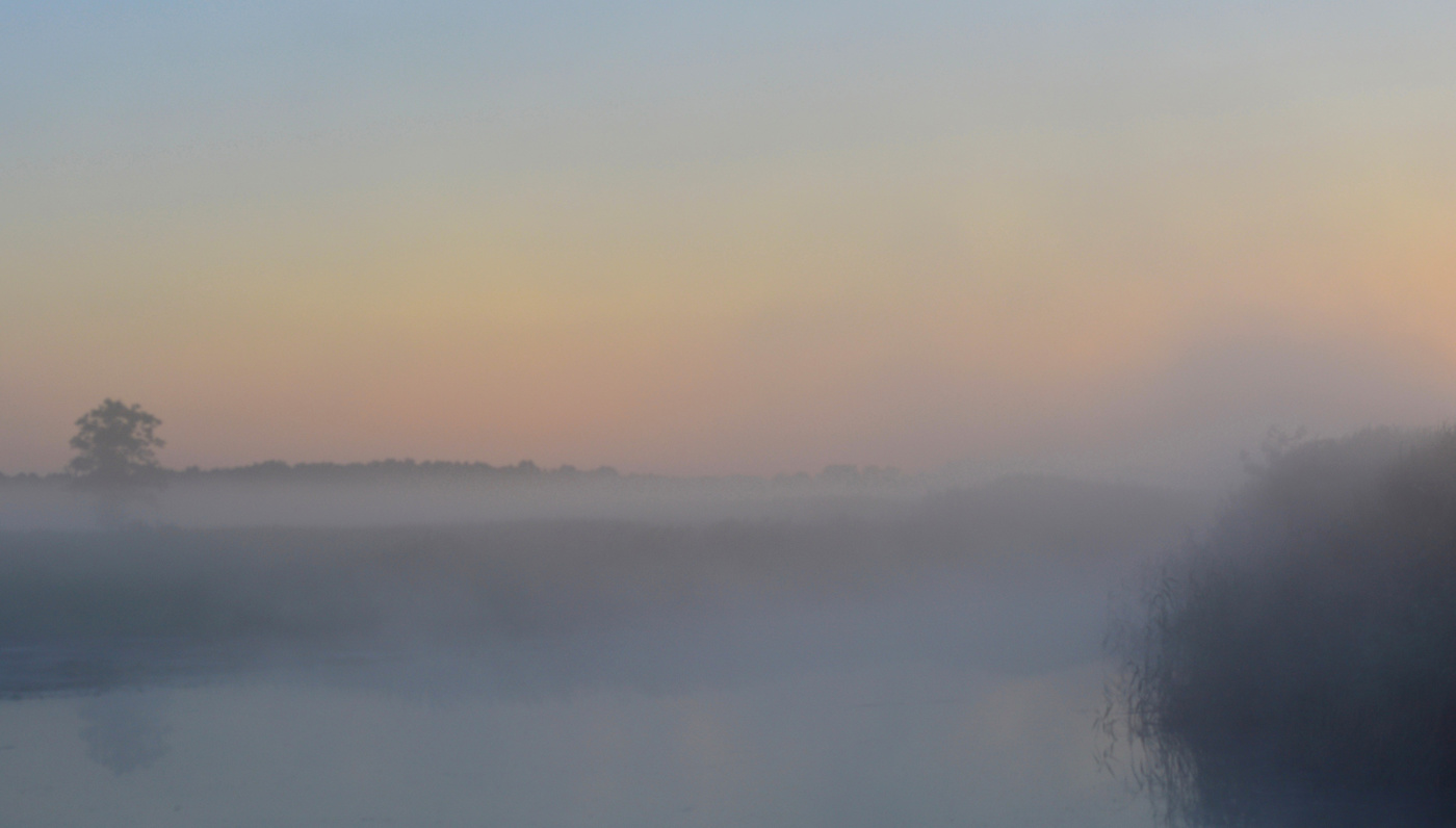 В речном тумане
