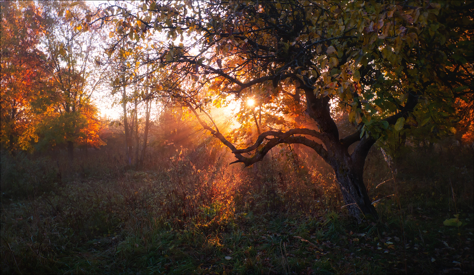 Октябрьское солнце