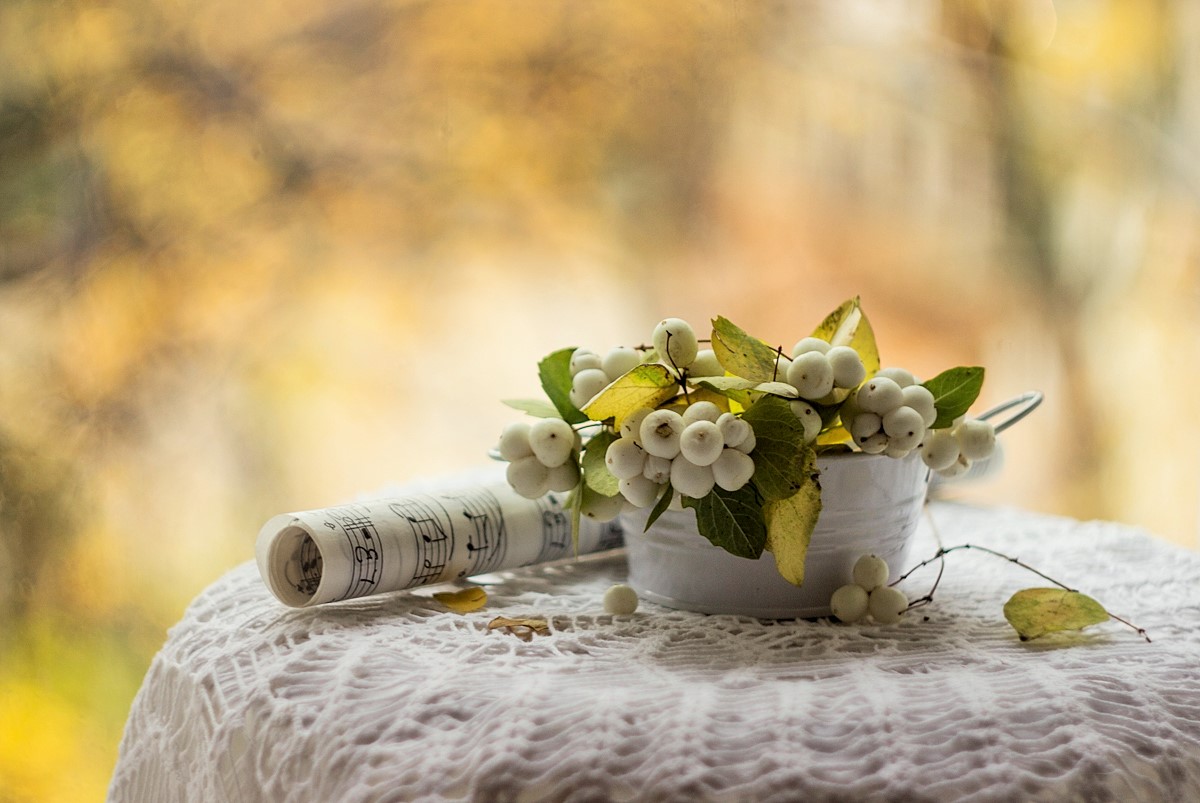 осенняя мелодия