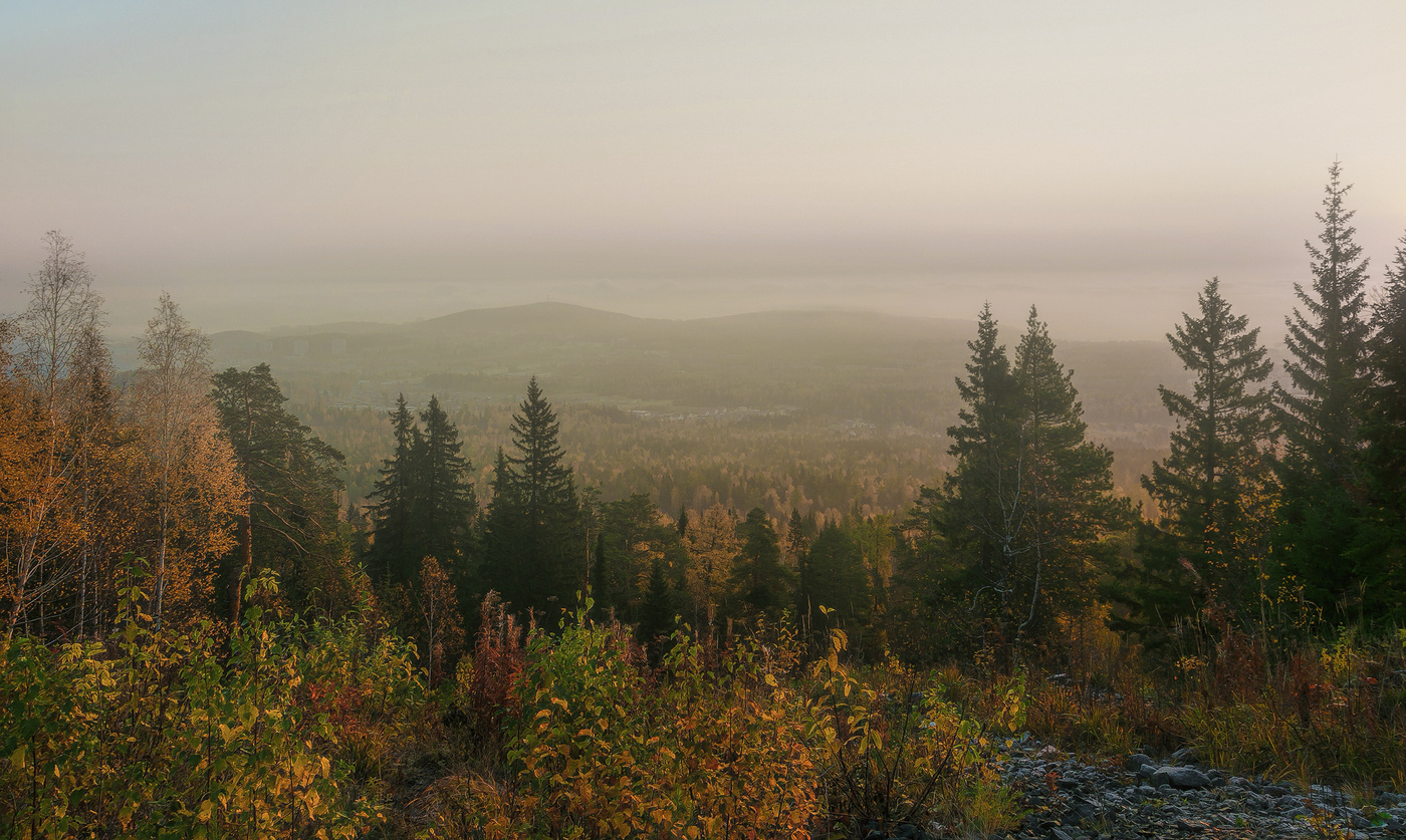 Туманное утро