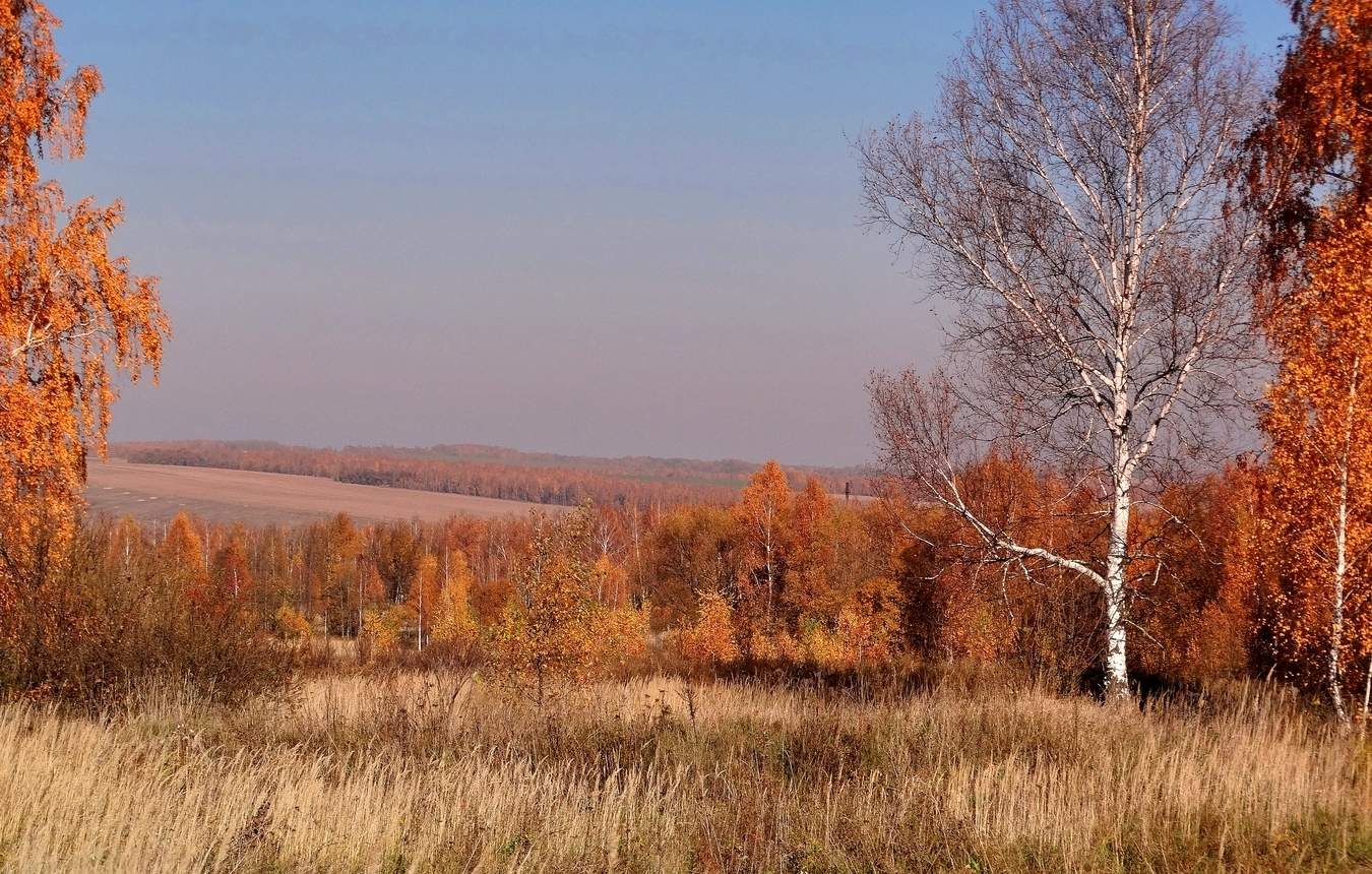 Осенние расцветки, как у рыжей лисы