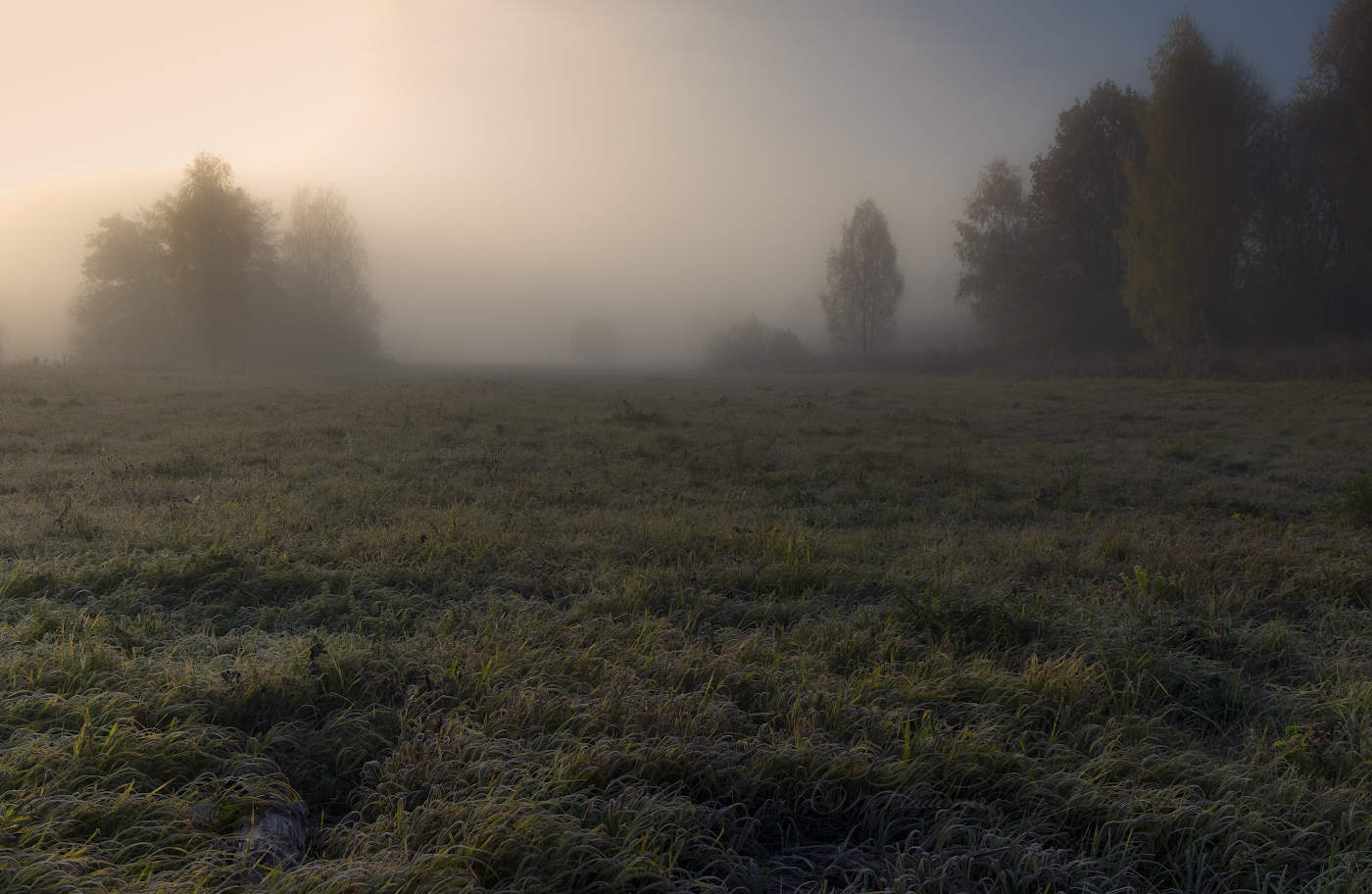 Луговой туман