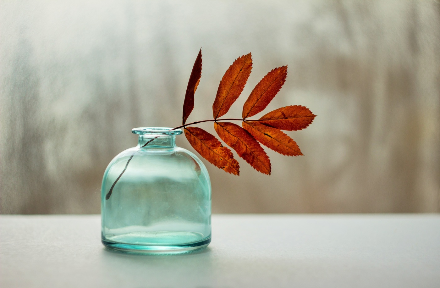 рябиновый привет