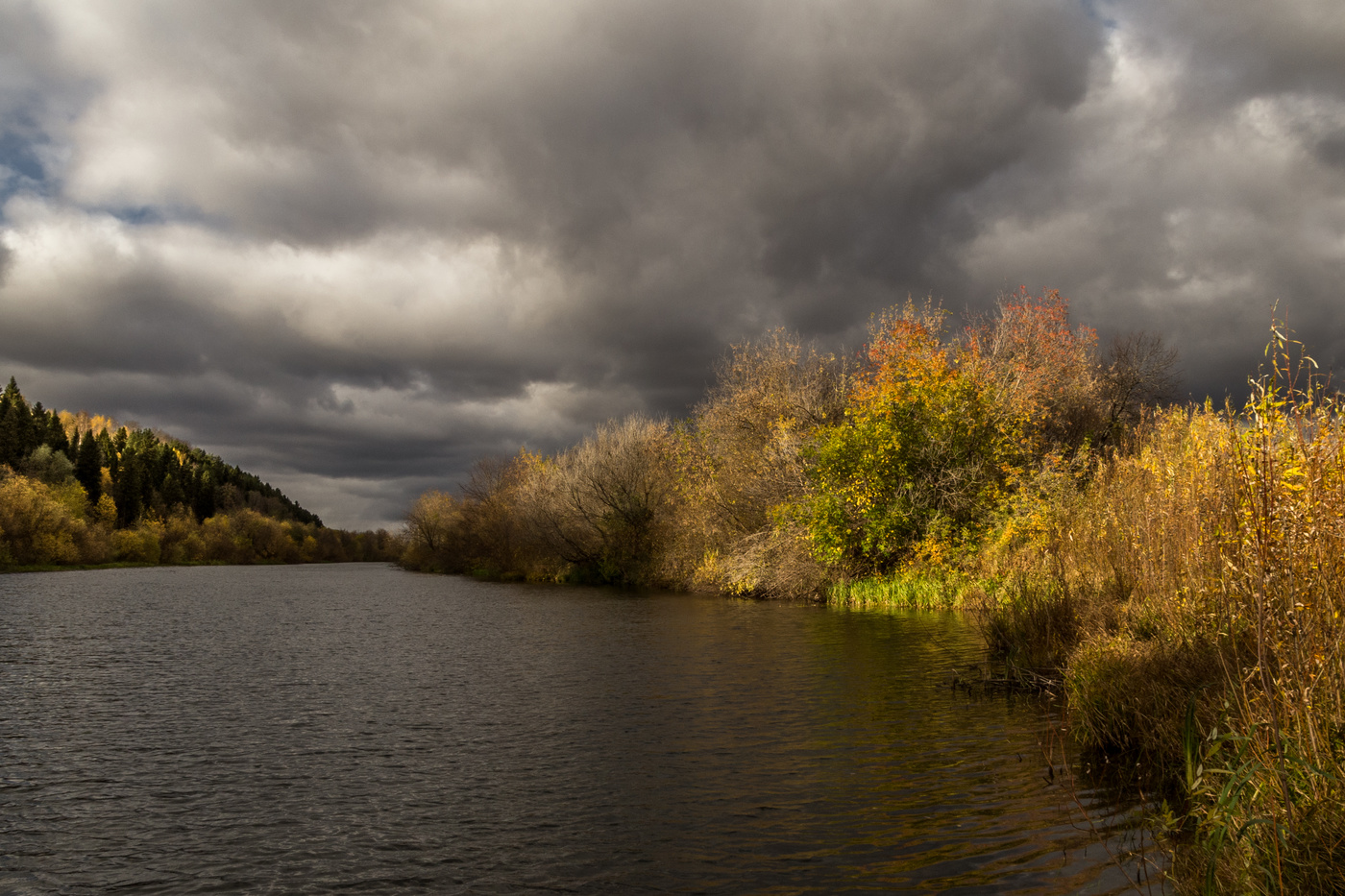 Цвета осени