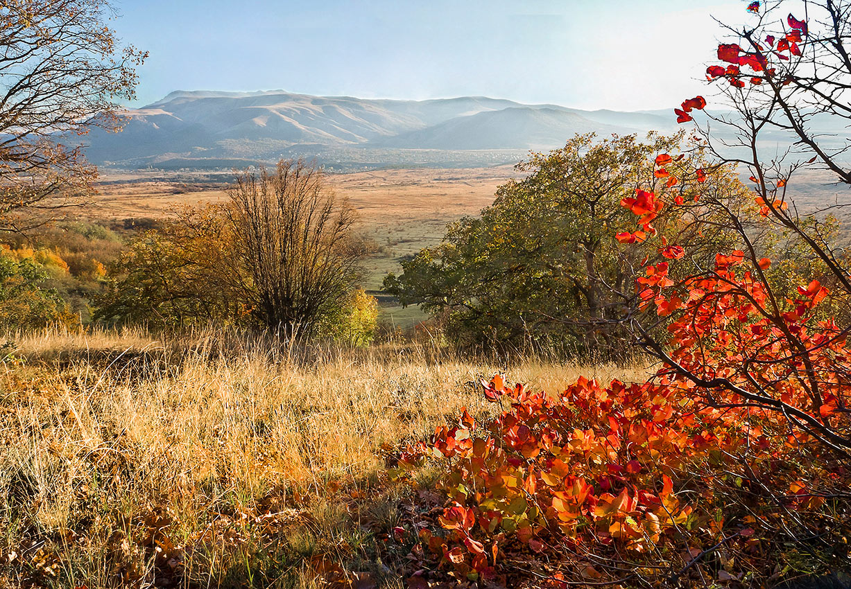 Этюд Октября