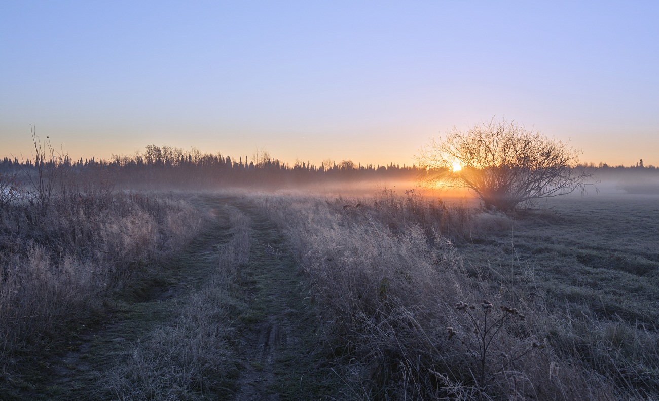 Низко стелется туман...