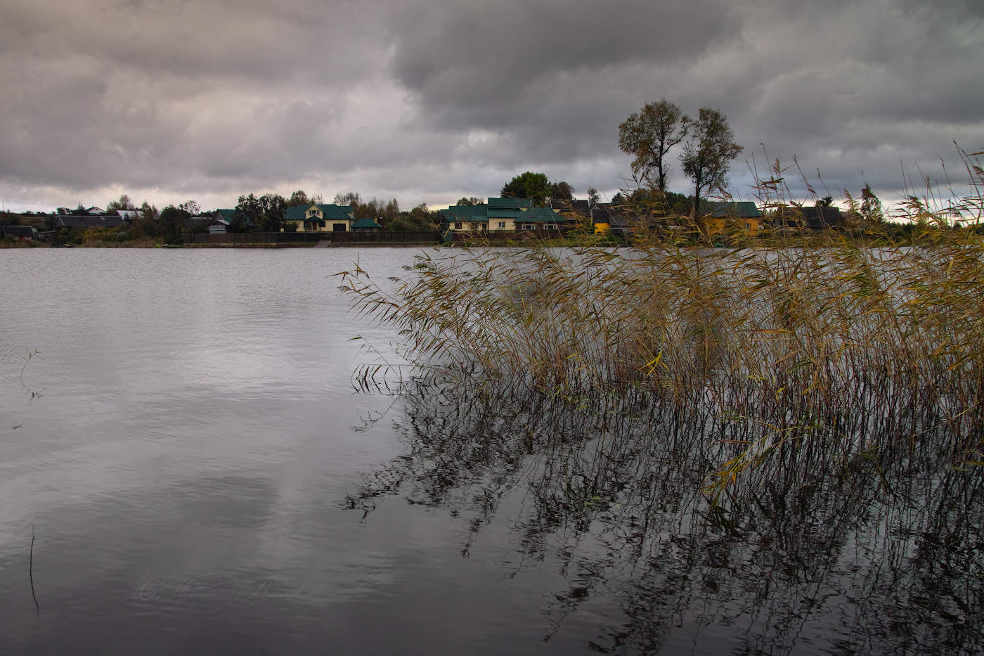 "Над рекой склоненная..."