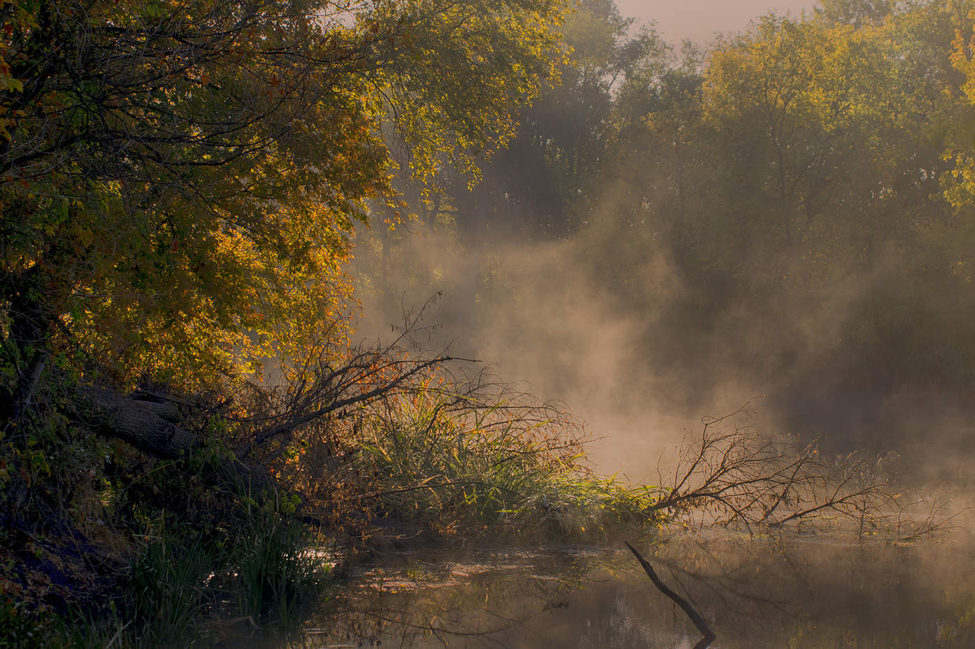 Рассвет хорошего дня