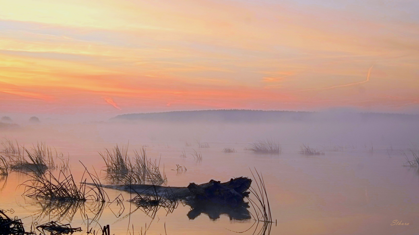Утренняя Ока.