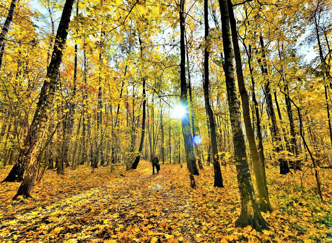 "Осенний блюз поет моя душа ..."