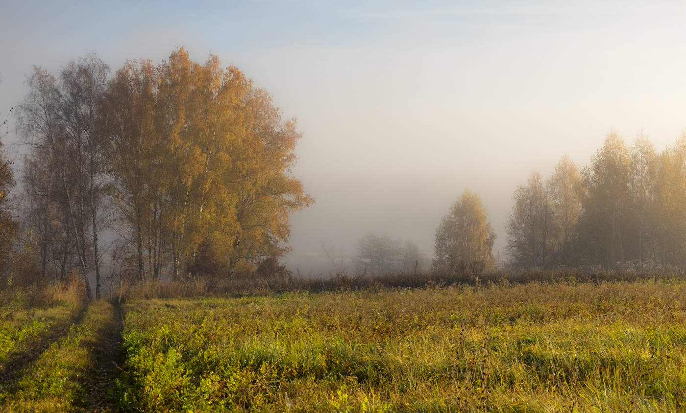 Золотой Октябрь.